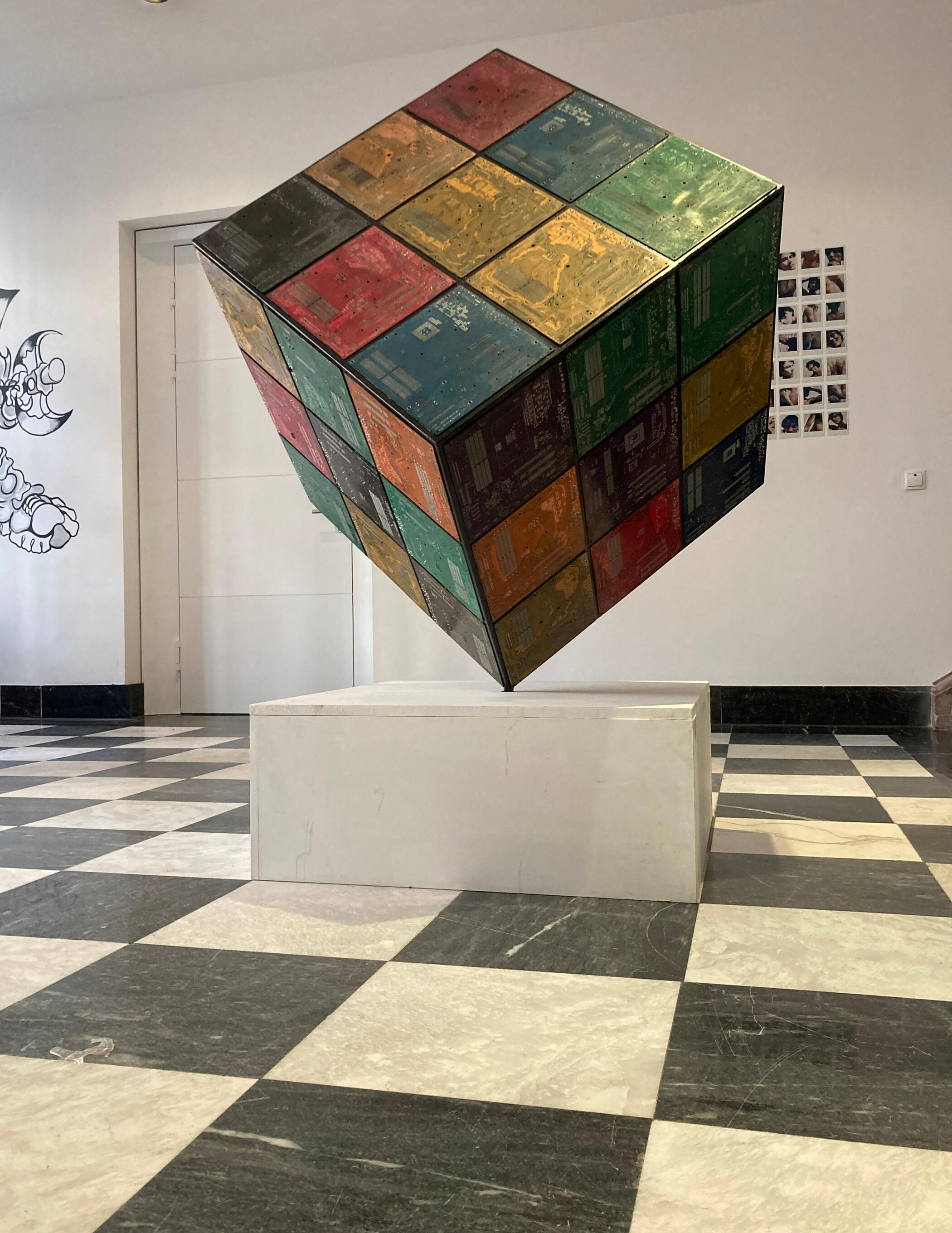 monkey